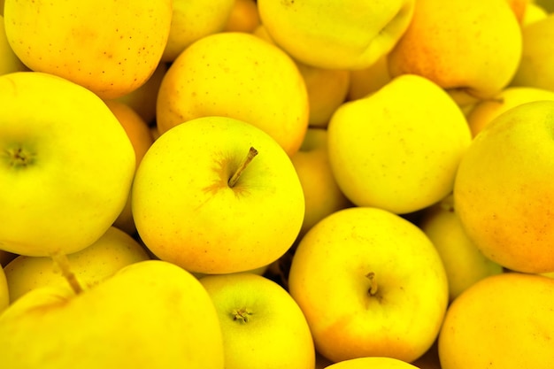 Foto manzanas amarillas en el fondo o textura del mercado