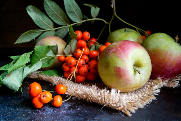 Manzanas y bayas de serbal en un fondo negro. Bodegón de otoño.