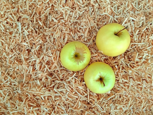 Manzanas blancas en el fondo del aserrín