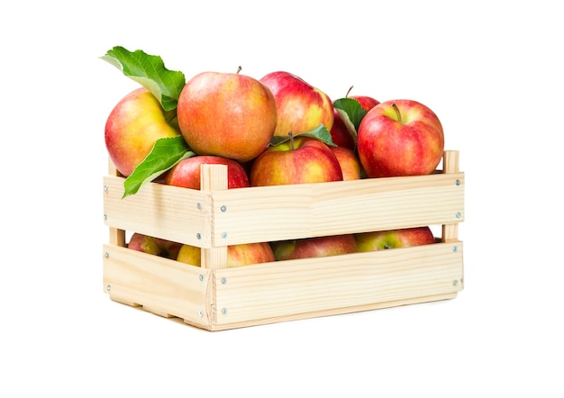 Manzanas en una caja de madera aislado sobre fondo blanco.