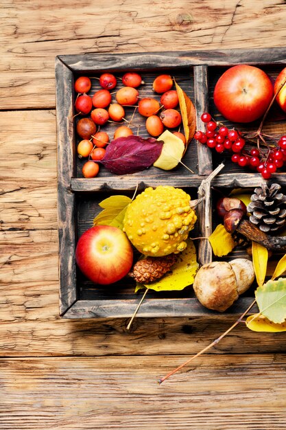 Manzanas y calabazas de otoño