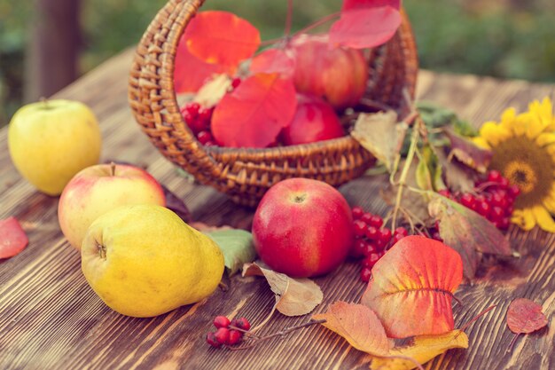 Foto manzanas en una cesta en la mesa de madera