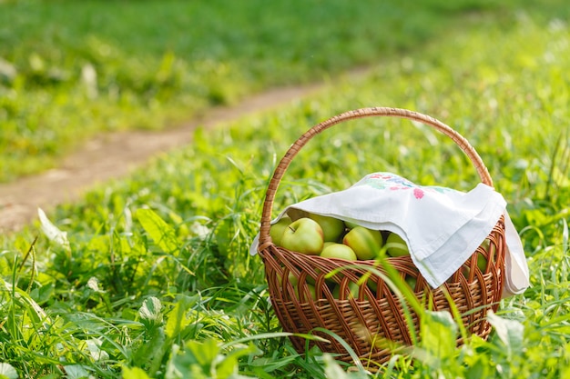 Manzanas en una cesta sobre un fondo de hierba verde