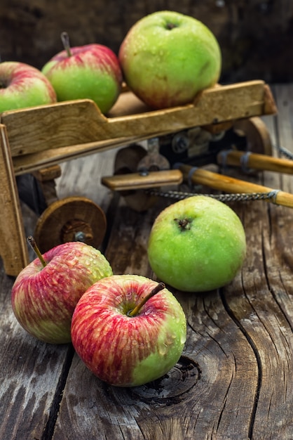 Foto manzanas de la cosecha de otoño