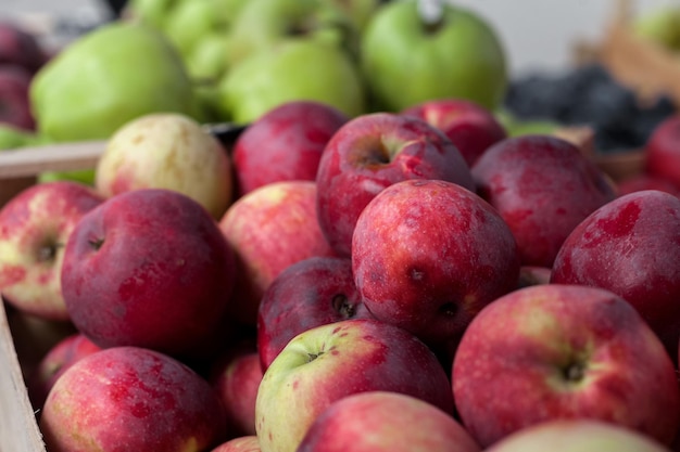 Foto manzanas en la feria