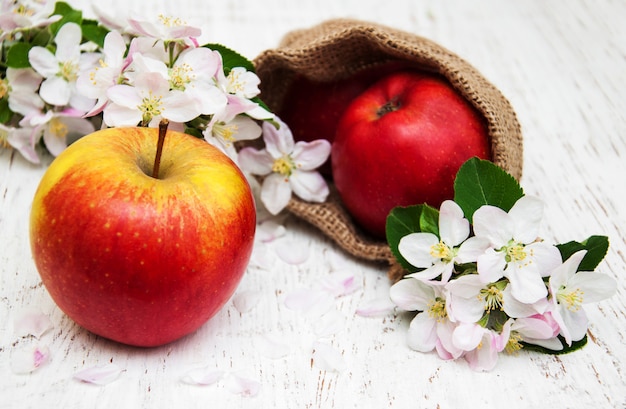 Manzanas y flores de manzano.