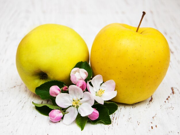 Manzanas y flores de manzano.