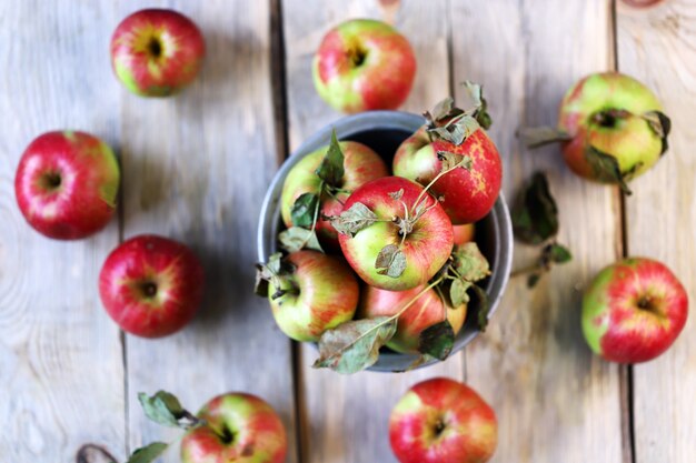 Manzanas frescas de otoño en un recipiente sobre una superficie de madera.