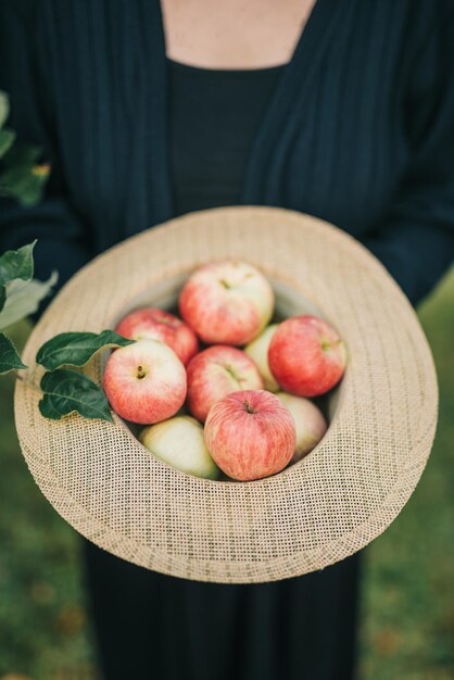 Manzanas frescas