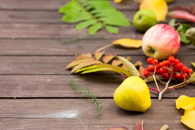 Manzanas, frutas Rowan, peras sobre un fondo de madera con espacio de copia