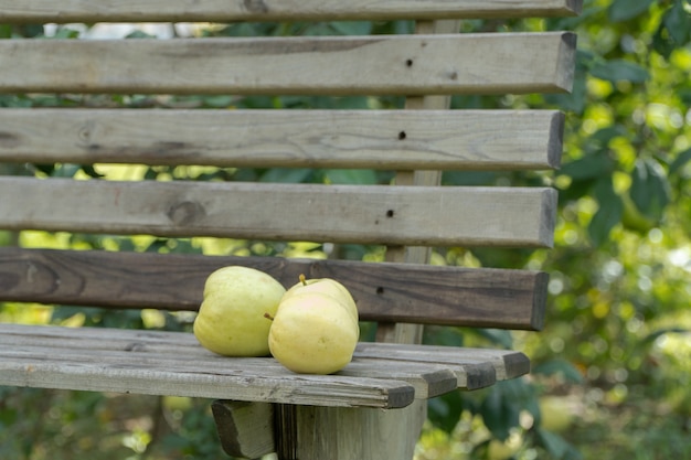 Manzanas maduras en un banco en el jardín, close-up