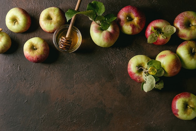 Manzanas maduras de jardinería