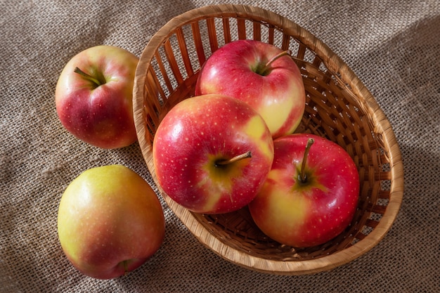 Manzanas maduras rojo-amarillas dentro y alrededor de la canasta