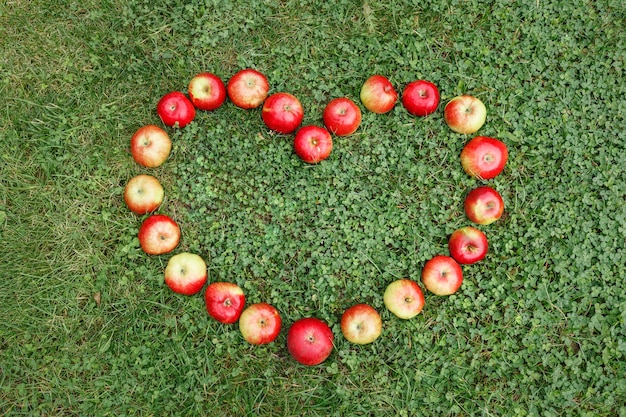 Las manzanas maduras sobre la hierba están dispuestas en forma de corazón