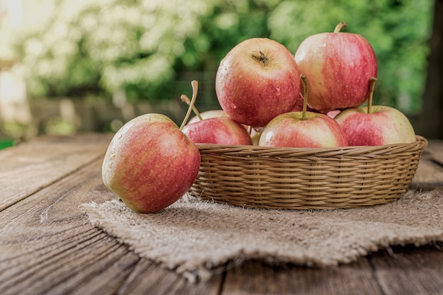 Manzanas orgánicas en canasta en pasto de verano. Manzanas frescas en la naturaleza en madera