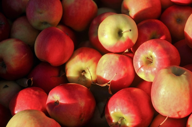 Manzanas orgánicas frescas rojas en el mercado de agricultores en Hobart Tasmania Australia