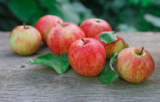 Manzanas otoñales maduras rojas y amarillas