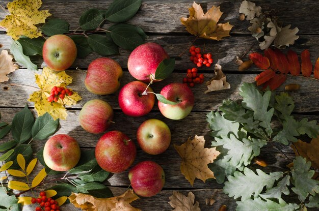 Manzanas rojas esparcidas en la vieja mesa de madera con hojas de otoño a la luz