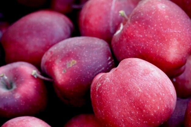 manzanas rojas frescas cosechadas en otoño