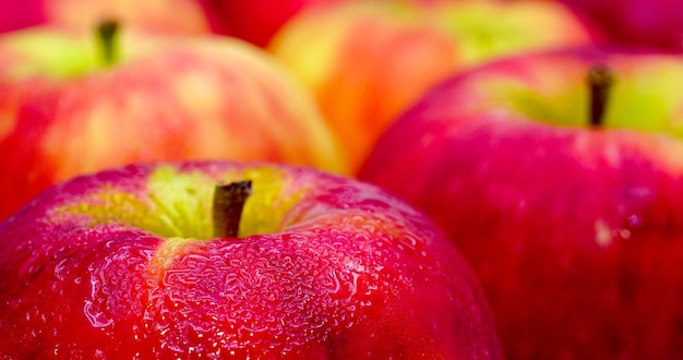 Manzanas rojas frescas con gotas de agua closeup