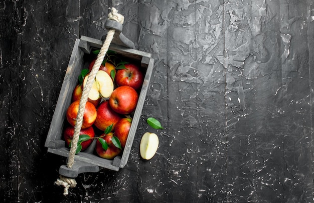 Manzanas rojas con hojas y rodajas de manzana en una caja de madera