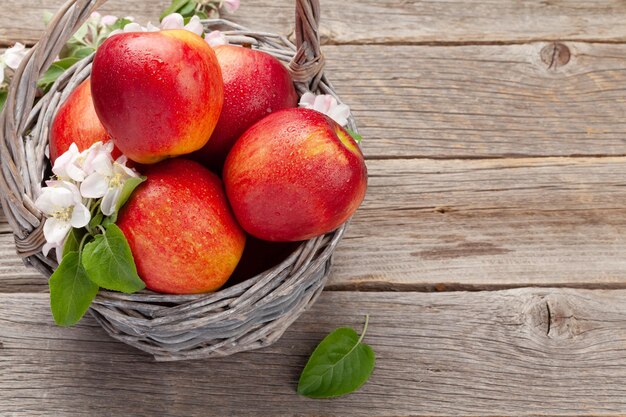 Manzanas rojas maduras y flores de flor de manzana en cesta