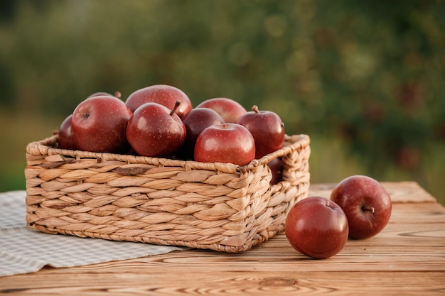 Manzanas rojas maduras frescas en la cesta sobre una mesa de madera con fondo de huerta natural Composición de frutas vegetarianas Concepto de cosecha