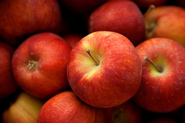 Foto manzanas rojas de otoño