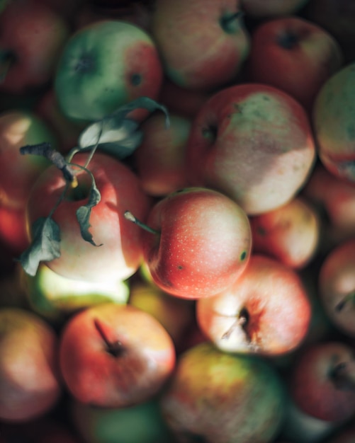 manzanas rojas y verdes caseras tiradas una encima de la otra