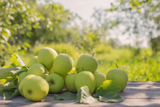 Manzanas verdes en el espacio de madera al aire libre