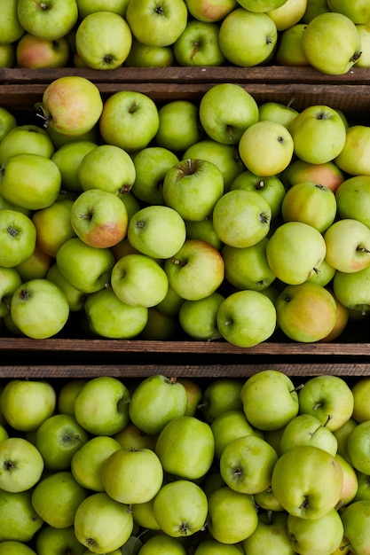 Manzanas verdes frescas en la cosecha de cajas de madera