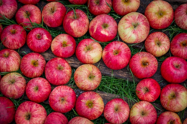 Manzanas en una vieja caja de madera