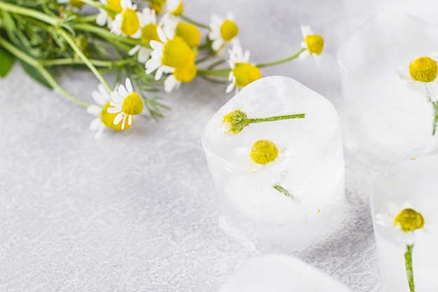 Manzanilla en cubitos de hielo sobre una mesa gris