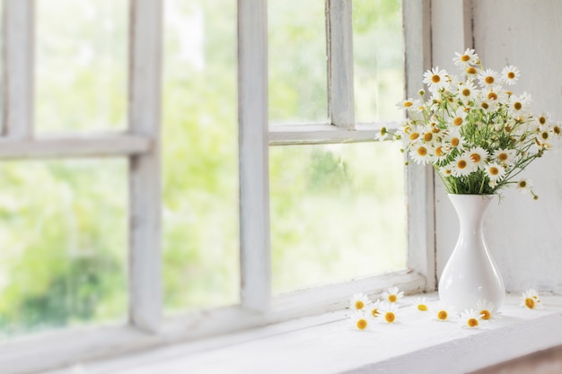 Manzanilla en florero sobre alféizar