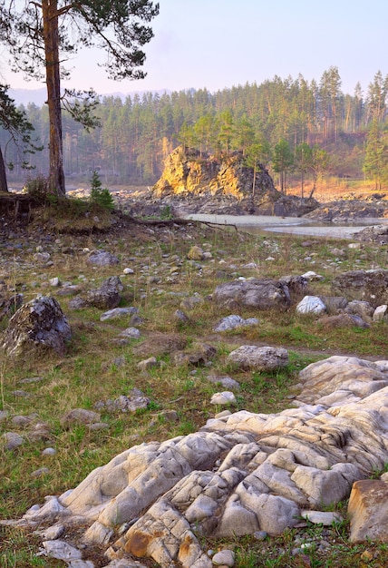 Manzherok Stromschnellen im Altai-Gebirge Kiefern an den felsigen Ufern des Flusses Katun