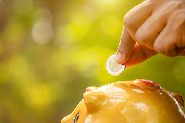 Mão, coloque a moeda no cofrinho com natureza verde desfocar o fundo. conceito de economia de dinheiro