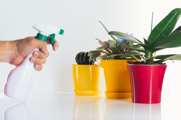 Mão com spray de água e plantas em vasos amarelos e vermelhos