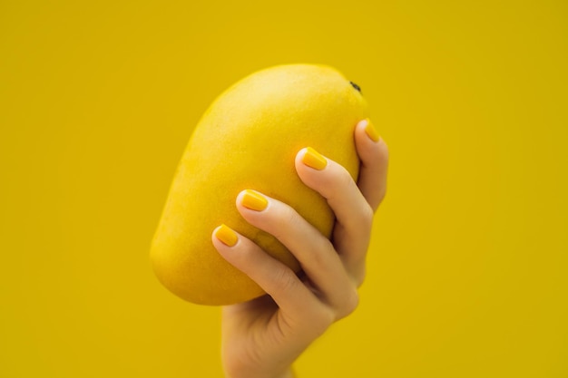 Mão com uma manicure amarela segurando uma manga madura amarela em um fundo amarelo