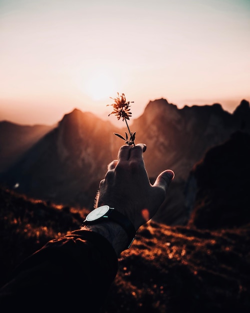 Foto mão cortada de homem segurando uma flor na montanha contra o céu durante o pôr do sol