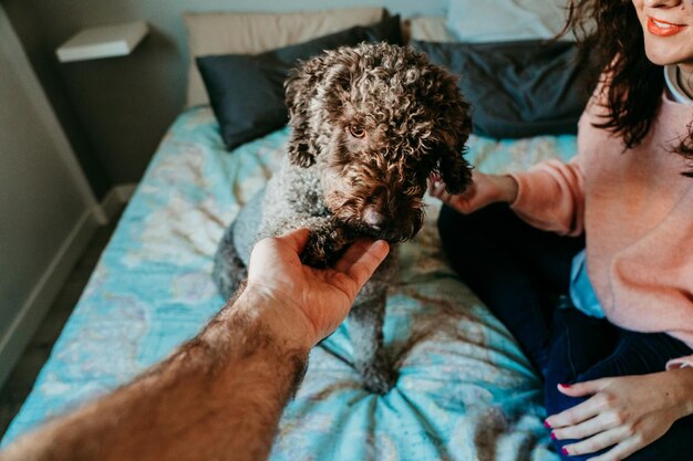 Foto mão cortada de homem tocando cão na cama