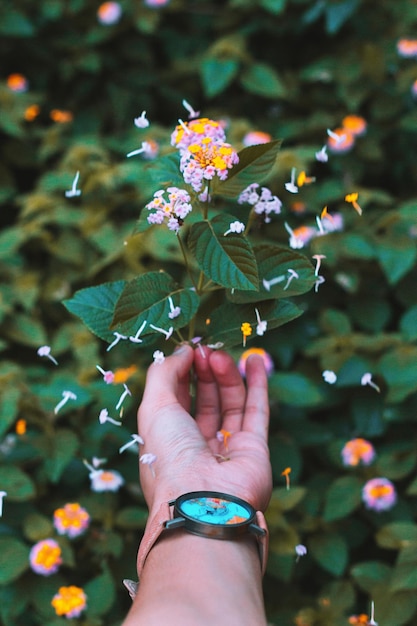 Foto mão cortada de mulher por pétalas de flores caindo