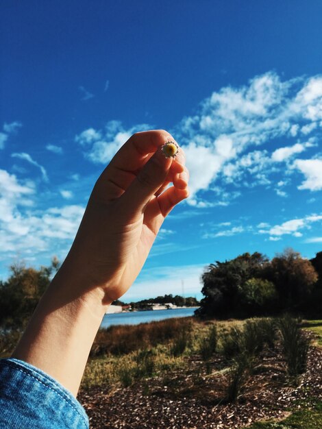 Foto mão cortada de mulher segurando uma flor contra o céu azul