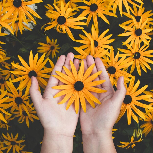 Foto mão cortada de mulher segurando uma flor