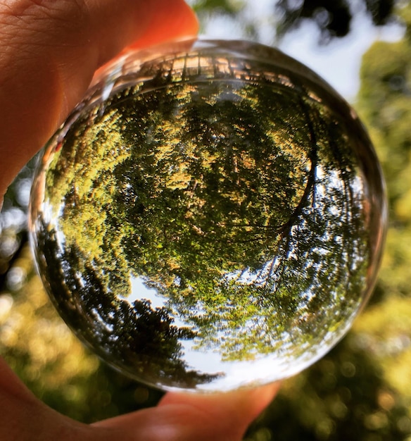 Mão cortada de pessoa segurando bola de cristal