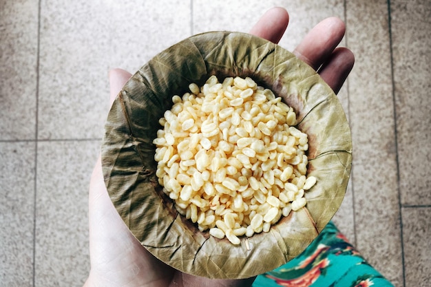 Foto mão cortada de pessoa segurando lanche de feijão mung em recipiente