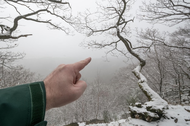 Foto mão cortada de um homem apontando na floresta durante o tempo nebuloso