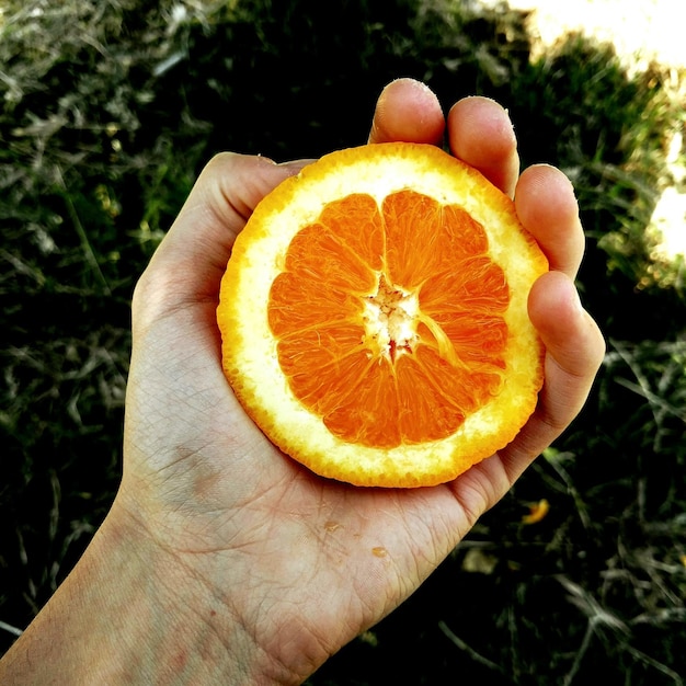 Foto mão cortada de um homem segurando uma fatia de laranja contra plantas