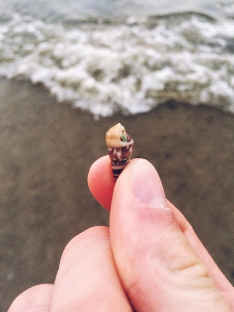 Foto mão cortada de uma pessoa segurando uma concha na praia