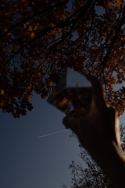 Foto mão cortada segurando cristal contra a árvore ao anoitecer