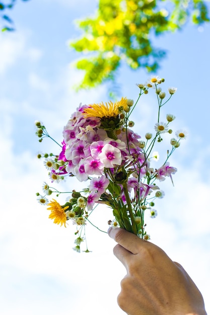 Foto mão cortada segurando flores contra o céu